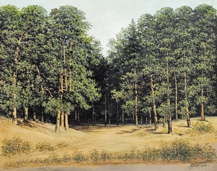 Картина Сосновий ліс